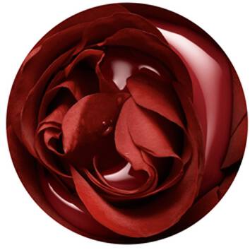 Um batom matte que não resseca e hidrata seus lábios com EXTRATO DE GRANDE ROSA, exclusividade Lancôme Ingrediente EXTRATO DE GRANDE ROSA do batom mate L’ABSOLU ROUGE INTIMATTE de Lancome