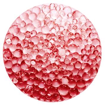 Cuide da saúde dos seus lábios enquanto se maquia com as poderosas CERAMIDAS de L’ABSOLU ROUGE INTIMATTE Ingrediente CERAMIDAS do batom luxuoso L’ABSOLU ROUGE INTIMATTE de Lancôme