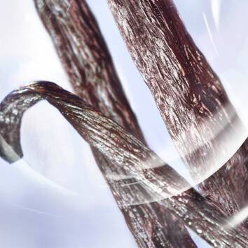 Favas de baunilha são as responsáveis pela característica gourmand de La Vie Est Belle La Vie Est Belle perfume com baunilha gourmand