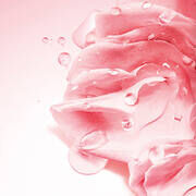 Ingrediente Maxi Lip, presente no hidratante labial IDÔLE JUICYTREAT de Lancôme